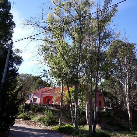 Casas Rurales "Paraje El Cajal" Ojós Exteriör bild