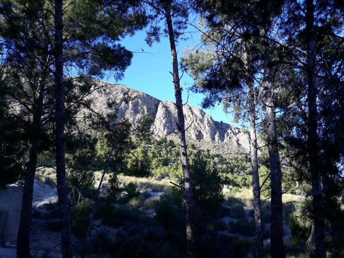 Casas Rurales "Paraje El Cajal" Ojós Exteriör bild